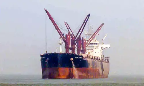 Chinese vessels cautious about Iran’s safe shipping corridor amid mounting economic risks: Report