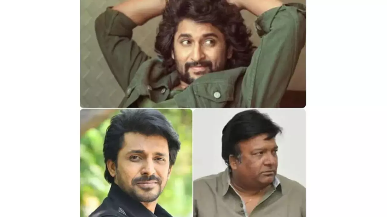 Nani’s bold strategy pays off Nani’s bold strategy pays off