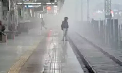 ‘Cocktail’ of nighttime particles behind North India fog: IITM ‘Cocktail’ of nighttime particles behind North India fog: IITM