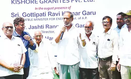 Govt to bear Rs 18,000 cr power tariff burden: Minister