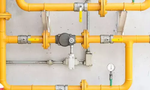 Odisha govt eases approvals to boost PNG rollout