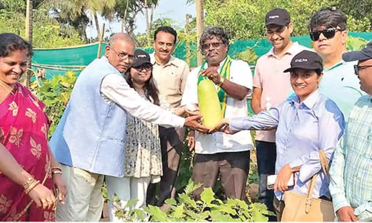 AP’s natural farming model impresses Nepal team AP’s natural farming model impresses Nepal team