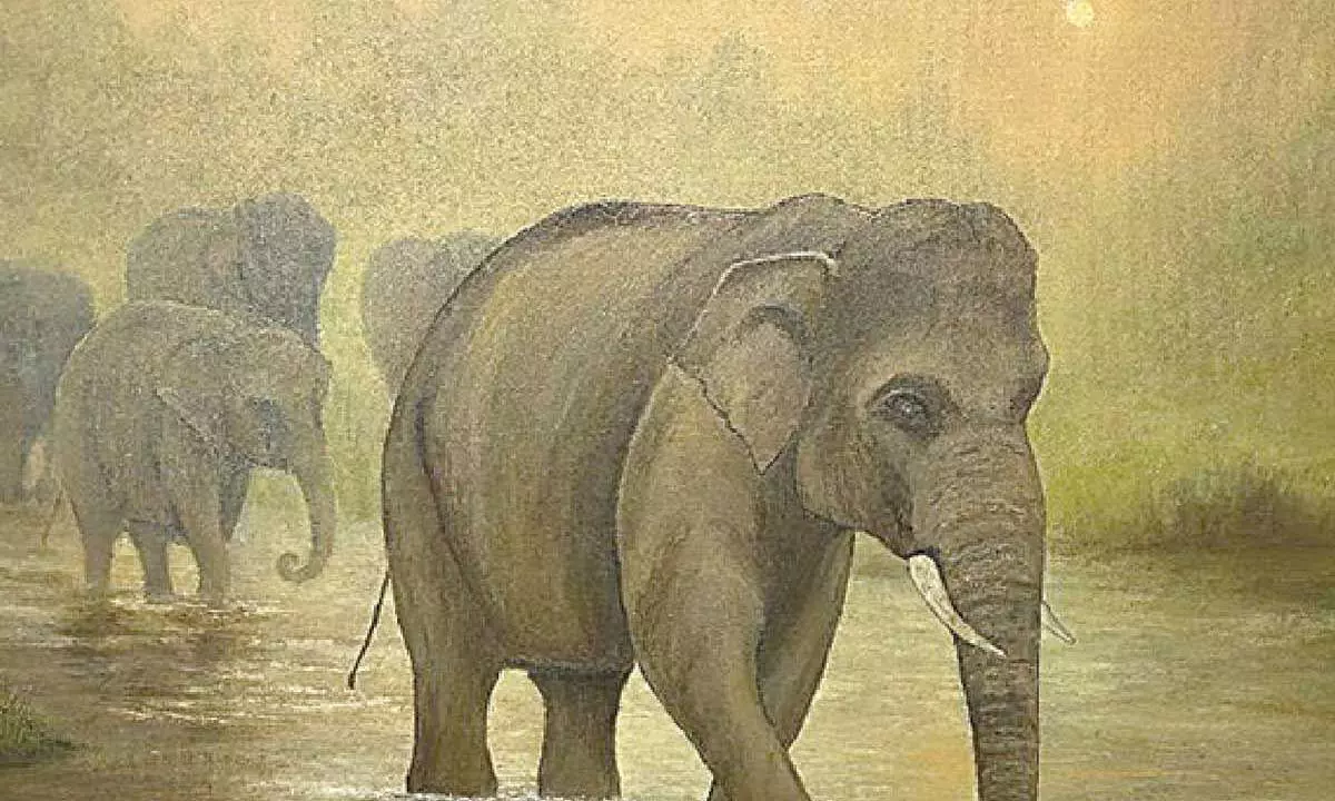 Flora and fauna on canvas Flora and fauna on canvas