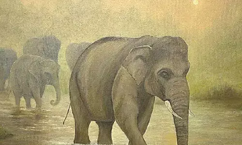 Flora and fauna on canvas