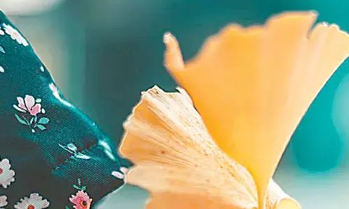 Kindness begins within