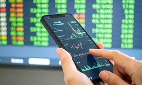 Domestic investors cushion the fall amid persistent foreign outflows