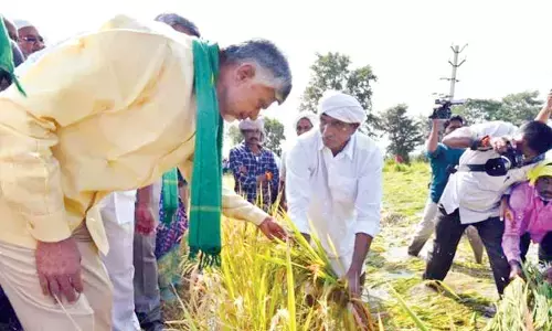 AP’s debt redemption saga remains a cautionary tale AP’s debt redemption saga remains a cautionary tale