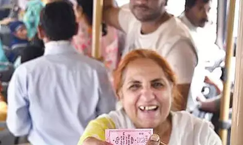 Delhi Subsidy Bill rises on power, free bus travel