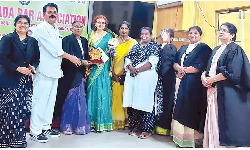 Cultural performance delights lawyers