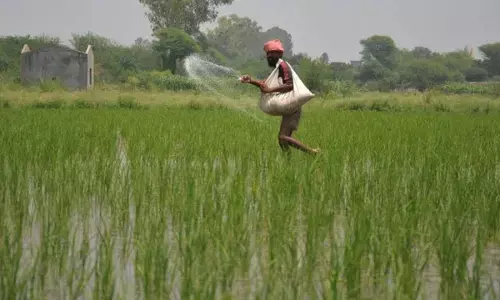Despite Supply Concerns… Govt assures adequate fertiliser stocks for Kharif