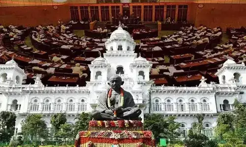 Assembly passes Appropriation Bill