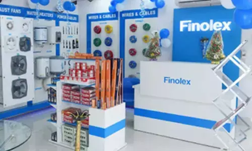 Finolex Cables stock tanks over 15 pc in a month