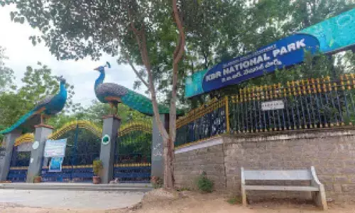 3 PILs challenge KBR park sensitive zone notification, HUH infrastructure project