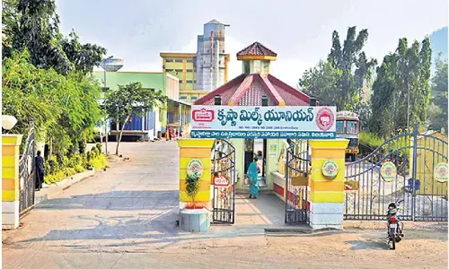 Vijaya Dairy to increase milk prices from April 4