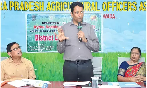 Innovative farming key to sustainable income: Collector