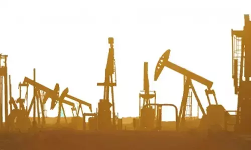 Govt aims to boost domestic oil production to 29 million tonnes a year by 2030