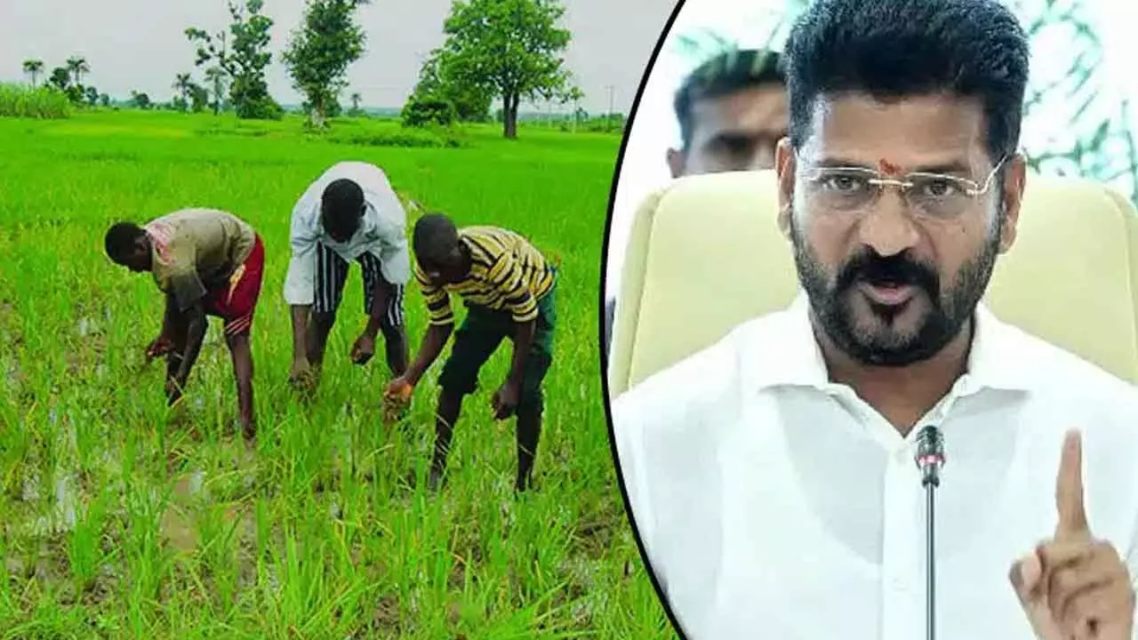 The Hans India - Politics Business - News Image