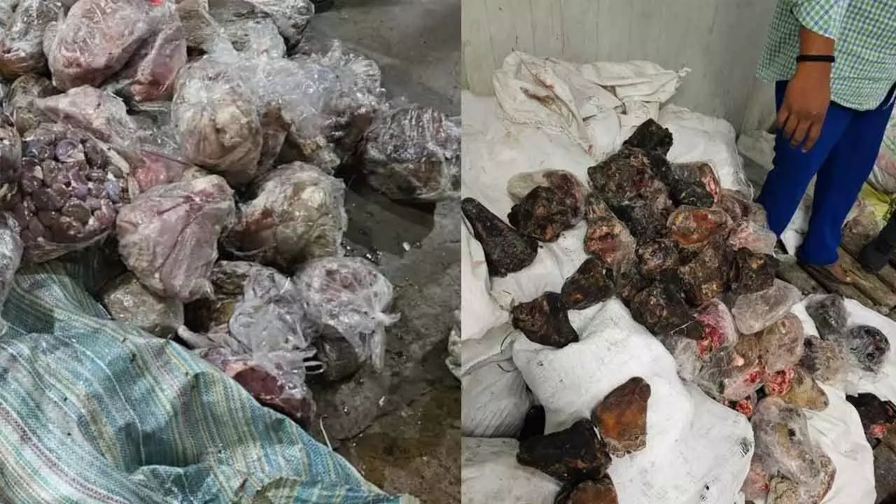 The Hans India - Business - News Image