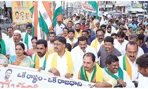 MLA Daggupati joins festivities over capital Amaravati