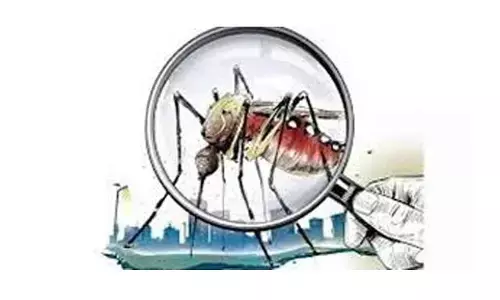 Civic bodies fail to swat mosquito menace in Hyd