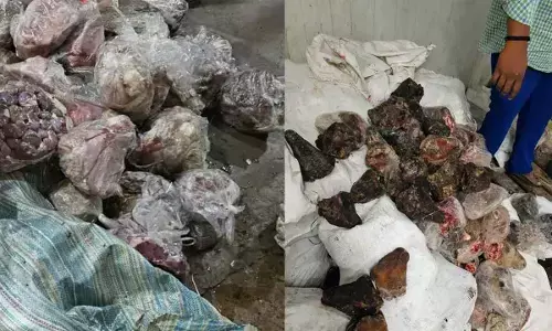 Police crackdown on rotten meat supply chain