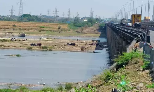 Illegal sand mining in Tungabhadra raises alarm over Bridge safety and looming drinking water crisis