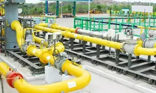 3.42 lakh new PNG connections gasified as drive picks up pace