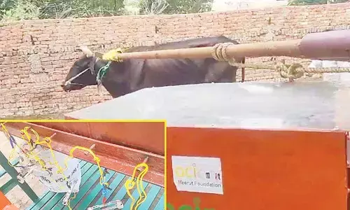 From cow dung to kilowatts: India’s untapped rural energy story