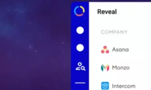 Happierleads Review, Track Individual Website