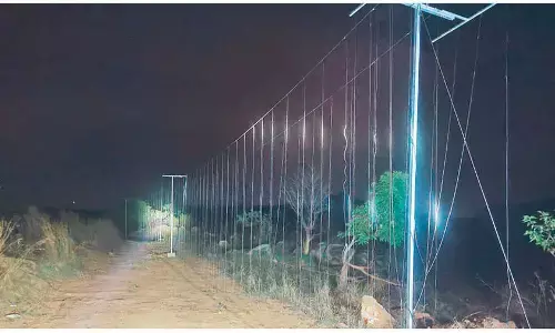 Solar fencing brings hope to farmers in Chittoor region