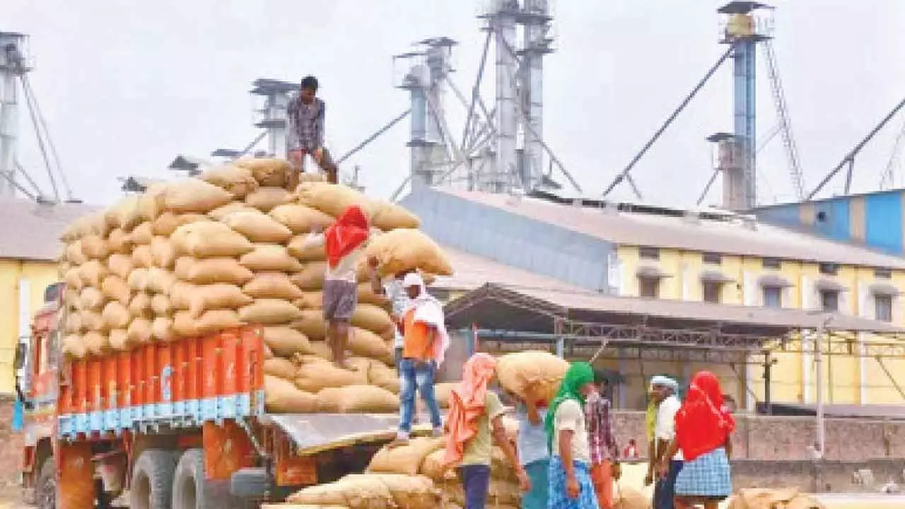 Officials intensify recovery of outstanding CMR dues Officials intensify recovery of outstanding CMR dues