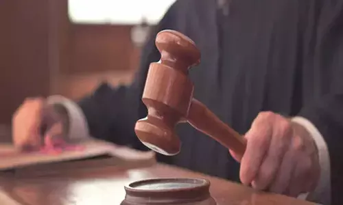 Delhi MACT Awards ₹1.56 Crore Compensation To Family Of Woman Killed In Noida Accident