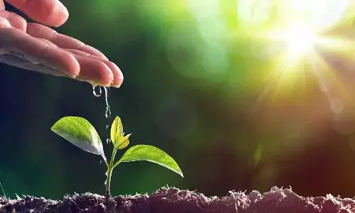 International Plant Appreciation Day 2026: Theme, History, Significance International Plant Appreciation Day 2026: Theme, History, Significance