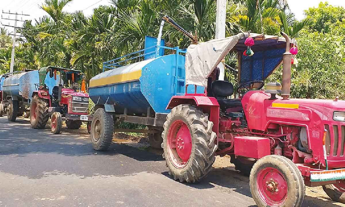 Heat dries up arecanut farms; farmers struggle for water
