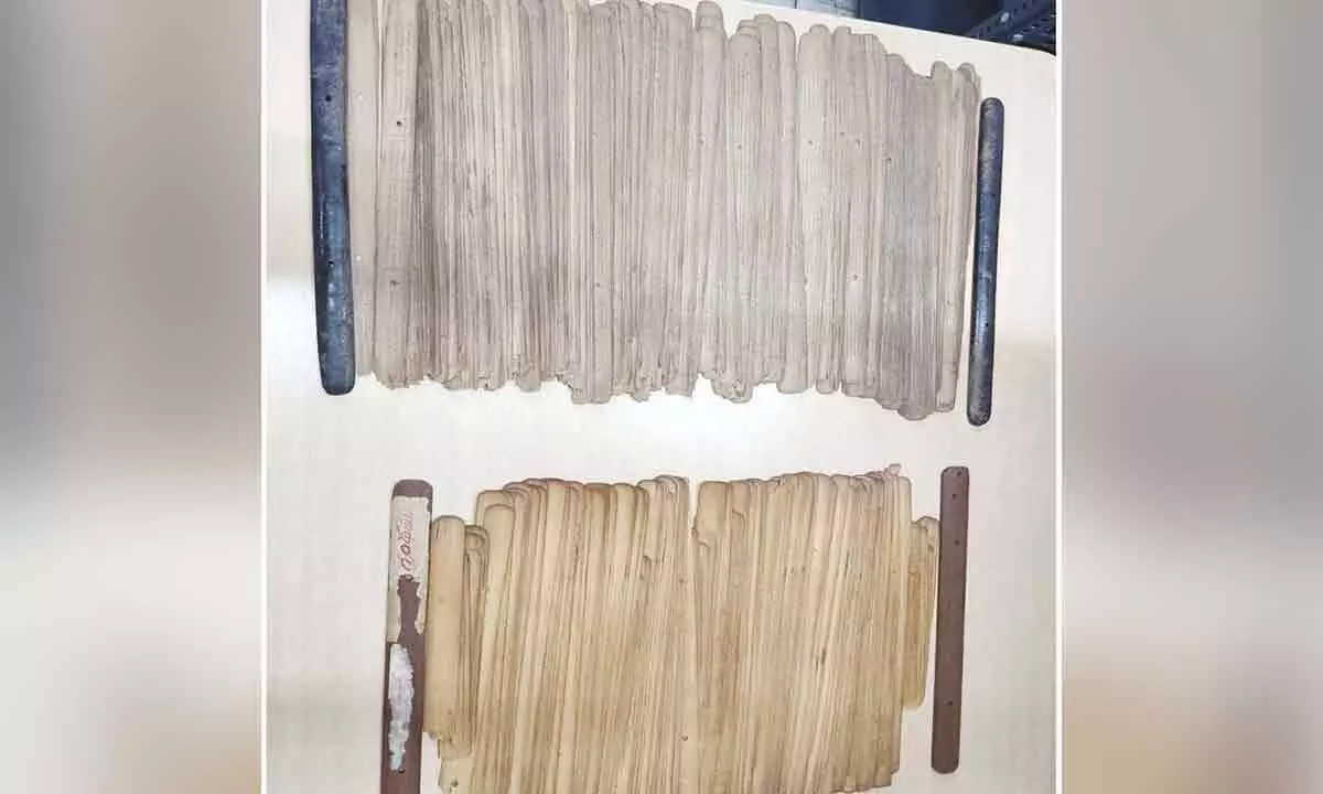 Scientific conservation of palm-leaf manuscripts launched