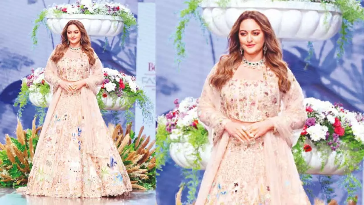 Sonakshi Sinha says ‘System’ reflects the society and its relationship with law
