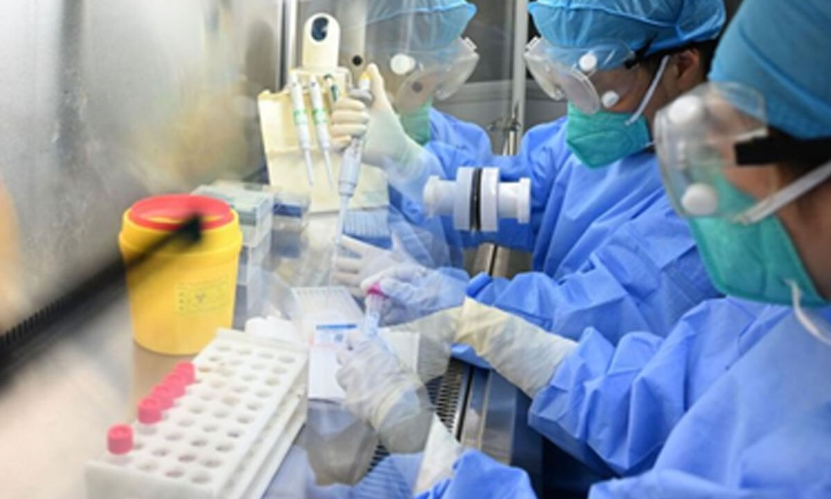 Thailand declares hantavirus ‘dangerous communicable disease’