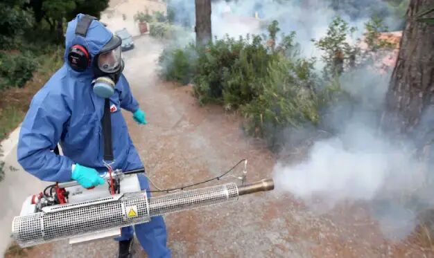 Best Household and Public Health Insecticides: A Comprehensive and Safe ...