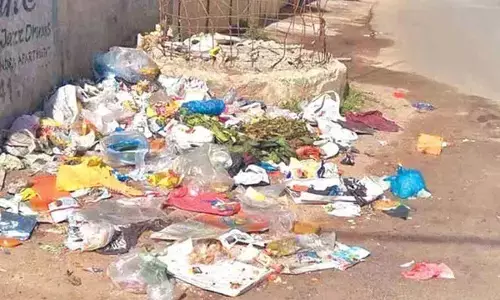 Don’t throw garbage on the roads: MMC chief to citizens