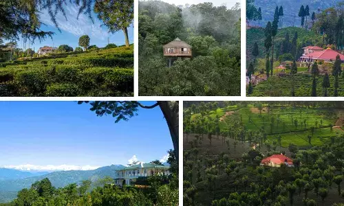International Tea Day Special: India’s 5 Most Stunning Tea Estate Retreats