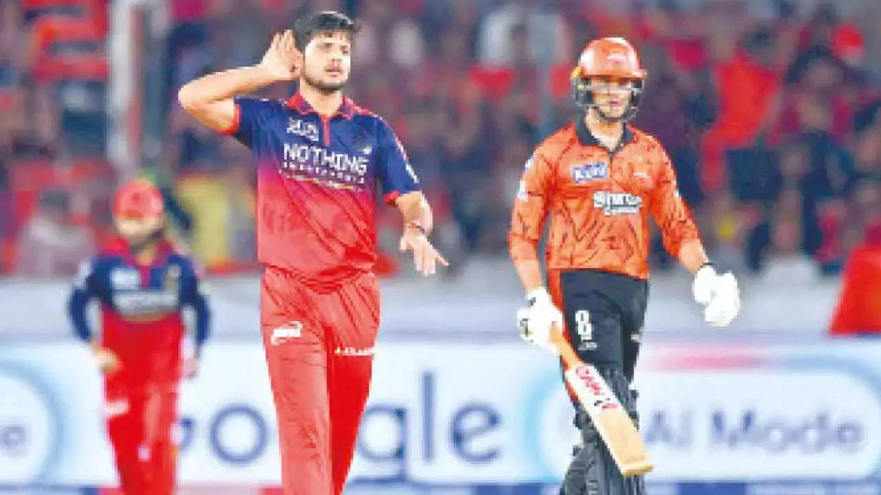 SRH win, RCB celebrates