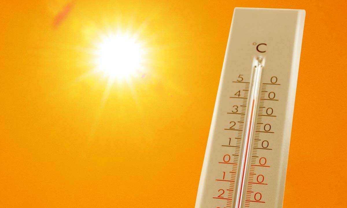 Rajasthan reels under severe heatwave as Sri Ganganagar records highest temperature at 48.2°C