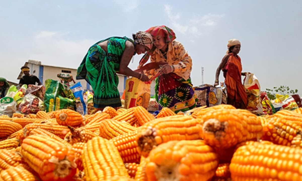 Govt bears burden of elevated global fertiliser prices to safeguard farmers: Goyal