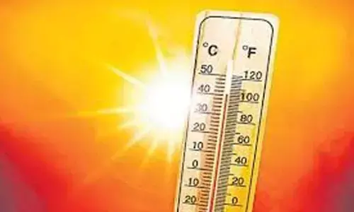 Severe heatwave claims lives across AP, Telangana, alert issued for five days Severe heatwave claims lives across AP, Telangana, alert issued for five days