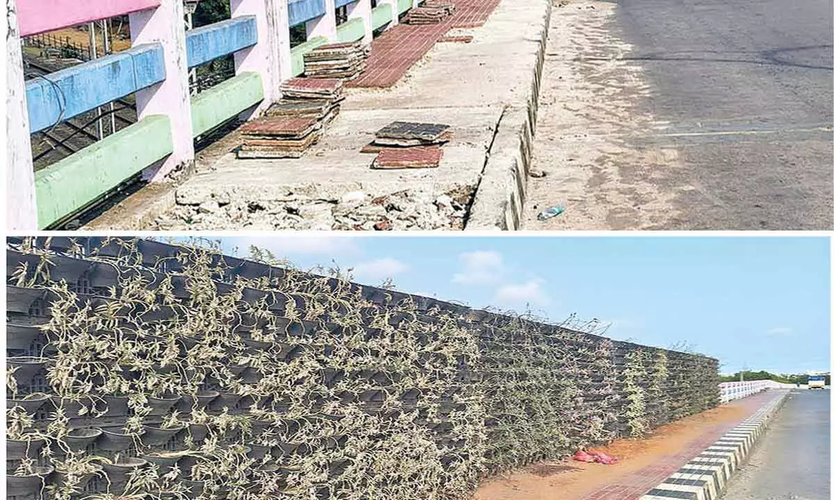 Vizag's Kancharapalem flyover left to rot, citizens allege negligence