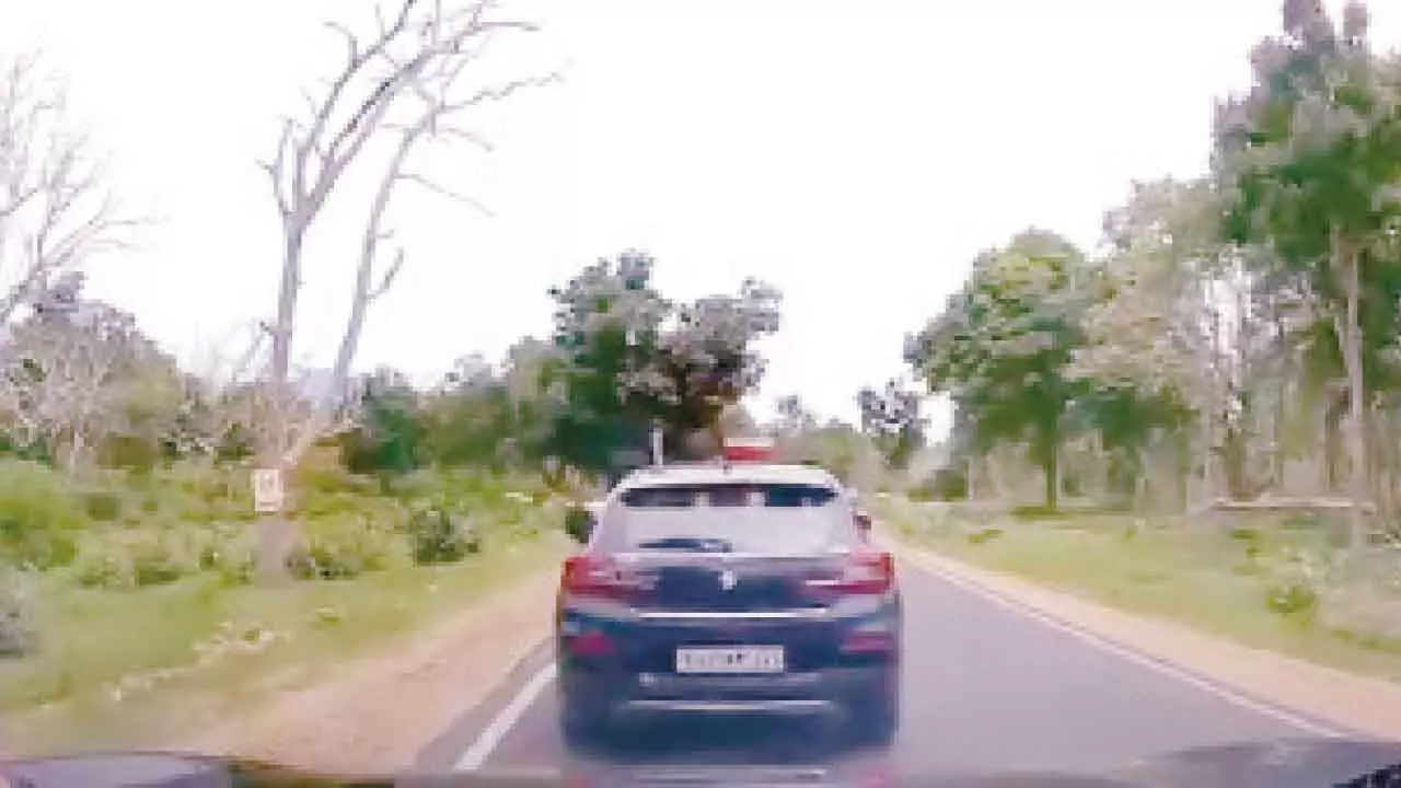 Social media erupts as tourists throw trash from moving car at Bandipur ...