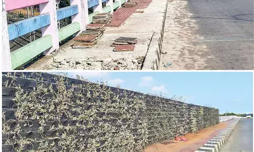 Vizag’s Kancharapalem flyover left to rot, citizens allege negligence