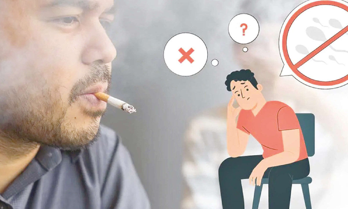 step tobacco free cigarettes Step Cigarettes | Buy Discount Cigs Online step tobacco free cigarettes Step Cigarettes | Buy Discount Cigs Online