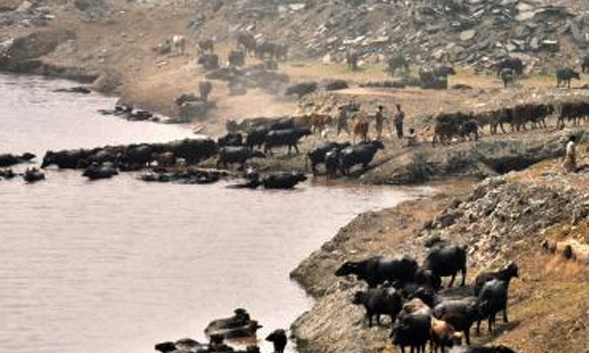Pakistan river contamination crisis grows amid systemic governance failure: Report