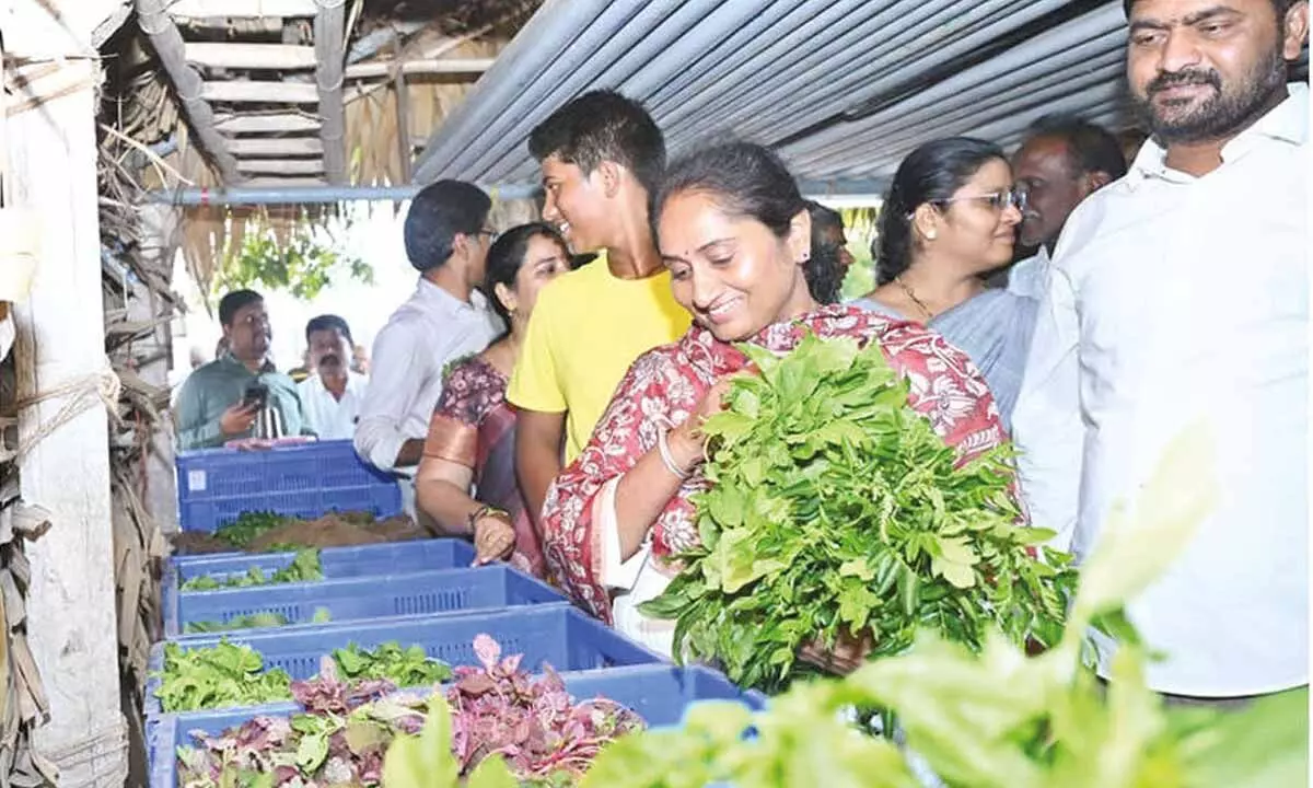 Savitha urges shift to organic diet